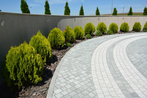 Best Concrete Paver Driveway  in Oak Ridge, FL